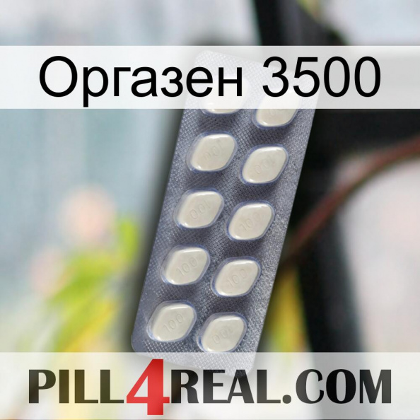 Оргазен 3500 08.jpg